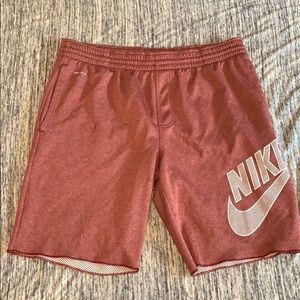 Nike sb shorts